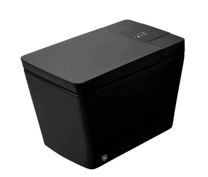 Matte Black Multifunctional Smart Toilet with Auto Flush - Modland