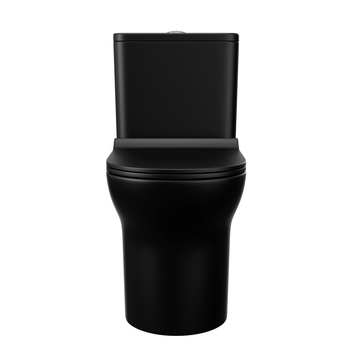 Matte Black Dual Flush Elongated One-Piece Toilet - Modland