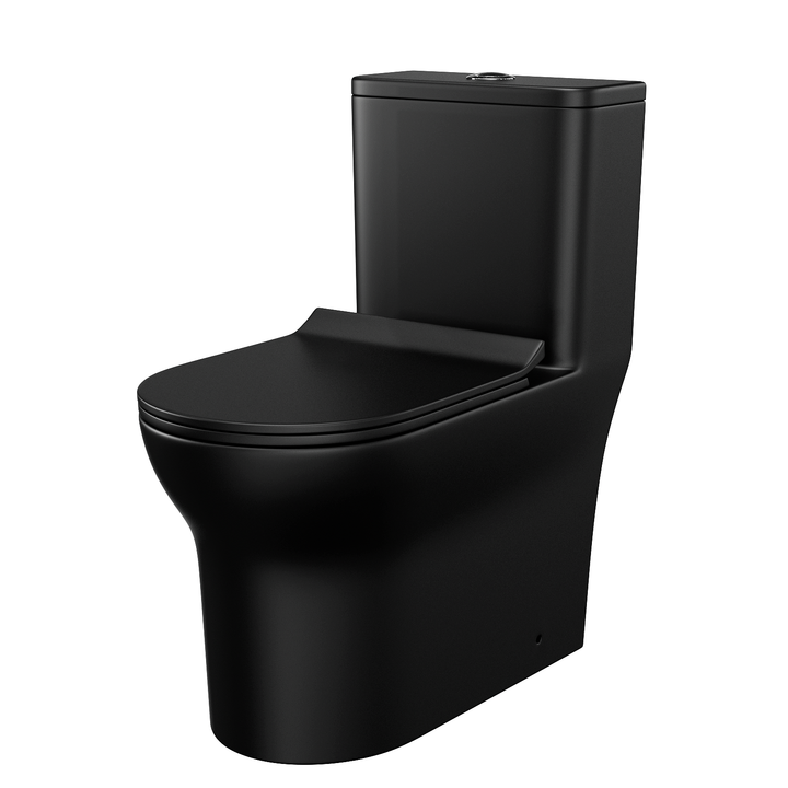 Matte Black Dual Flush Elongated One-Piece Toilet - Modland