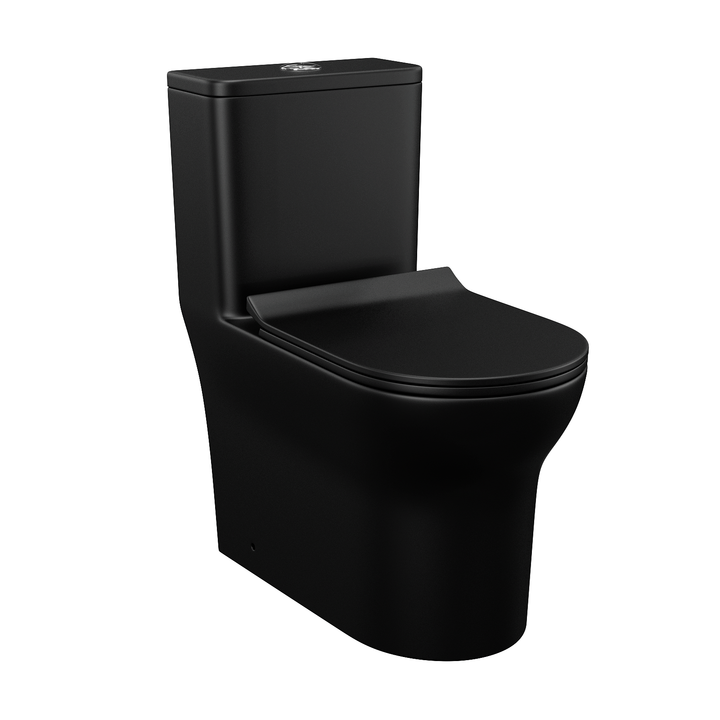 Matte Black Dual Flush Elongated One-Piece Toilet - Modland