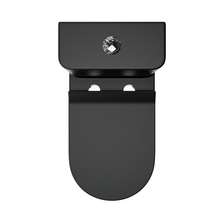 Matte Black Dual Flush Elongated One-Piece Toilet - Modland