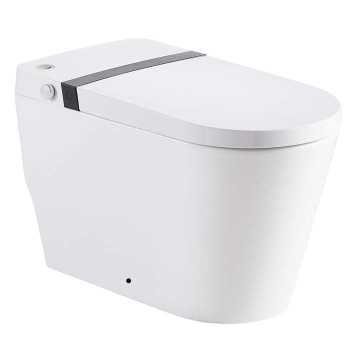 Smart Toilet with Bidet, Auto Open/Close, Heated Seat - Modland